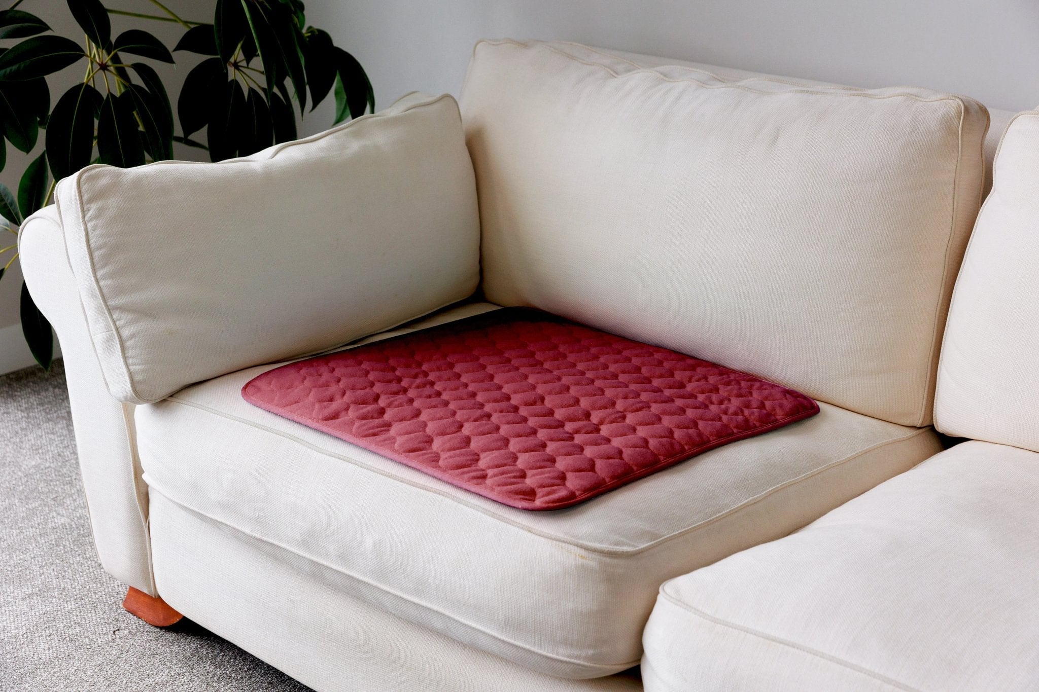 Buddies | Chair Pad Regular 60x60cm