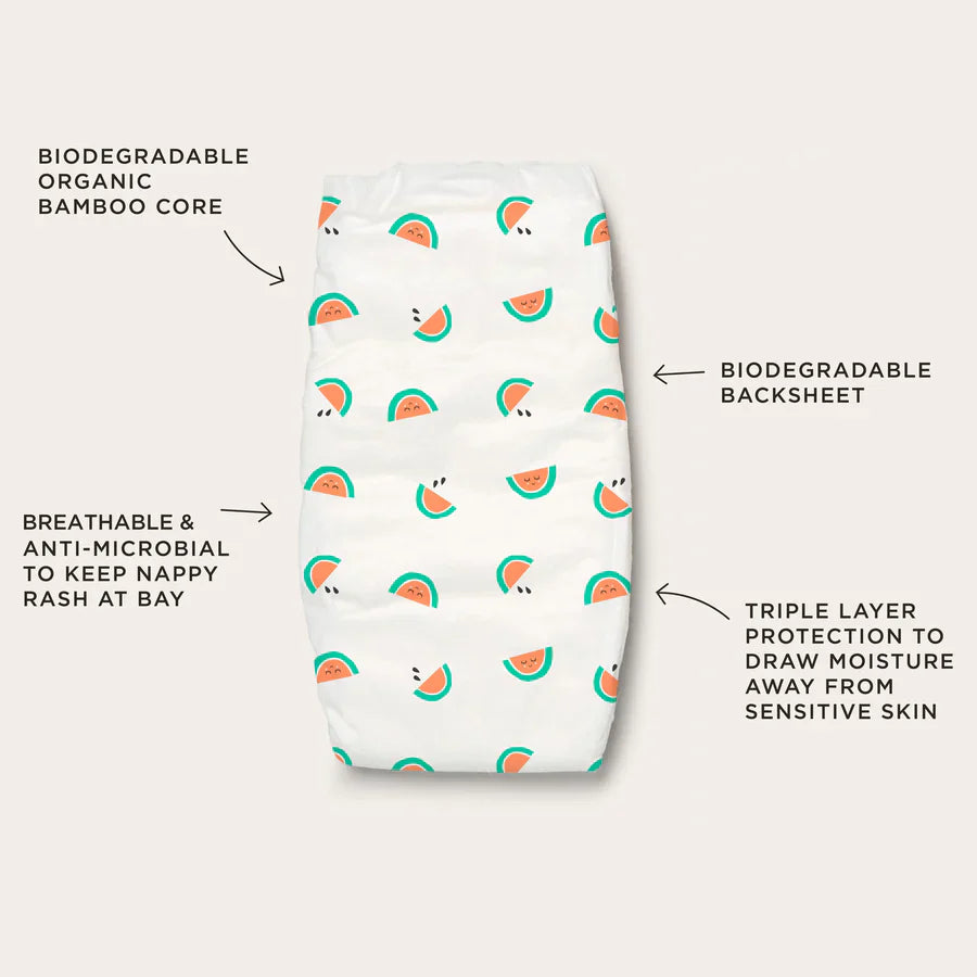 Tooshies Disposable Nappies - All Sizes